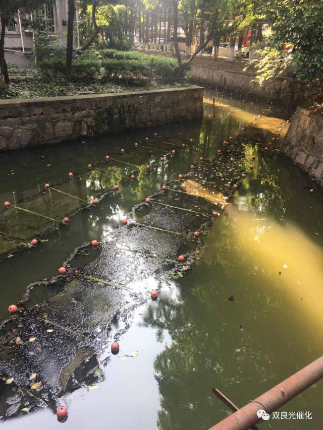 兆河生態(tài)清潔小流域建設(shè)工程（巢湖市段）——水環(huán)境治理工程（槐林段）項目中標(biāo)候選人公示