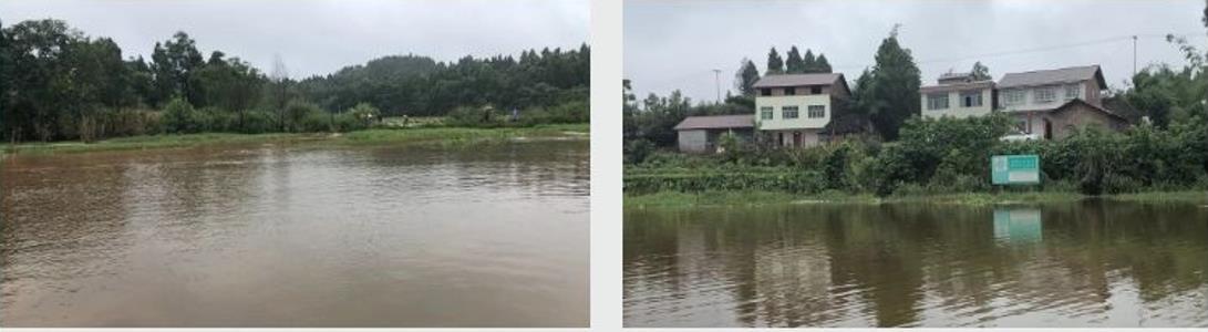 四川資陽市雁江區(qū)滴水巖水庫水體修復(fù)技術(shù)服務(wù)項(xiàng)目