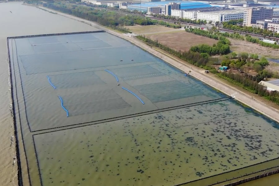 太湖水華控制和水草恢復(fù)光催化<a href=http://www.takfung.cn target=_blank class=infotextkey>水生態(tài)修復(fù)</a>示范項目