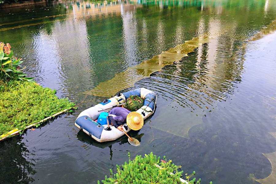 廣東省深圳市辛養(yǎng)魚塘-<a href=http://www.takfung.cn target=_blank class=infotextkey>水生態(tài)修復(fù)</a>示范項(xiàng)目