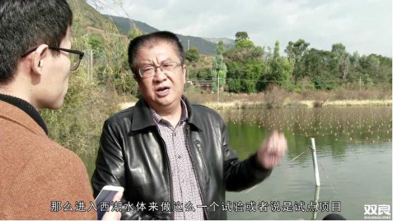 洱源西湖<a href=http://www.takfung.cn target=_blank class=infotextkey>水環(huán)境治理</a><a href=http://www.takfung.cn/hp/ target=_blank class=infotextkey>湖泊修復(fù)</a>碧水藍(lán)天