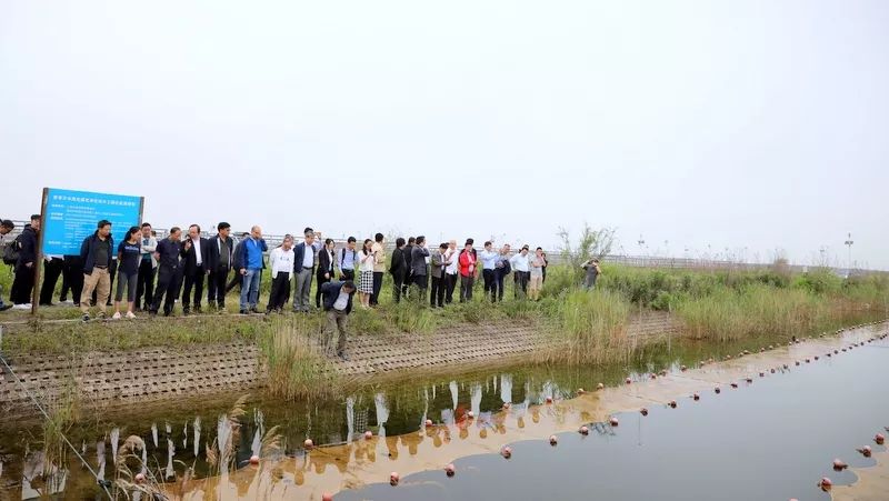 中國(guó)第一大城市飲用水<a href=http://www.takfung.cn/yysyd/ target=_blank class=infotextkey>水源地治理</a>技術(shù)突破