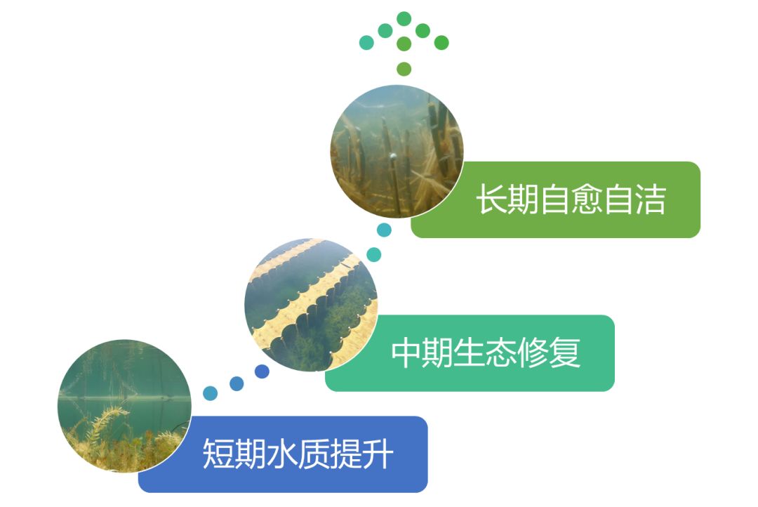 2020<a href=http://www.takfung.cn target=_blank class=infotextkey><a href=http://www.takfung.cn target=_blank class=infotextkey>雙良</a>環(huán)境</a>春招開啟