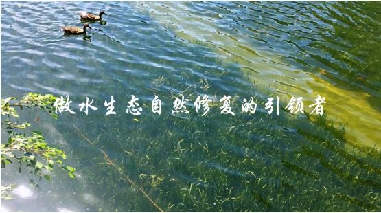 PMAES科研體系橫向課題研討會(huì)順利召開(kāi)