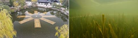 水生態(tài)修復改善河流水文情勢