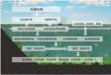 開遠(yuǎn)市三角海水庫(kù)環(huán)境治理初見成效