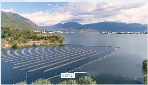 黑臭水體整治有序推進城區(qū)“水清岸綠”景色宜人