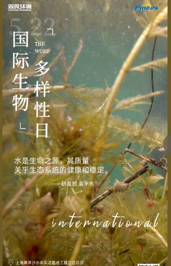 5.22生物多樣性日｜共護(hù)碧水清波，共建和諧生態(tài)！