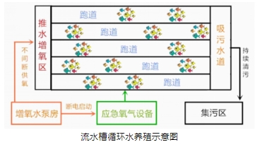 科普小課堂第61期丨池塘和工廠化集約化設施漁業(yè)養(yǎng)殖場